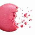 Pink macaron